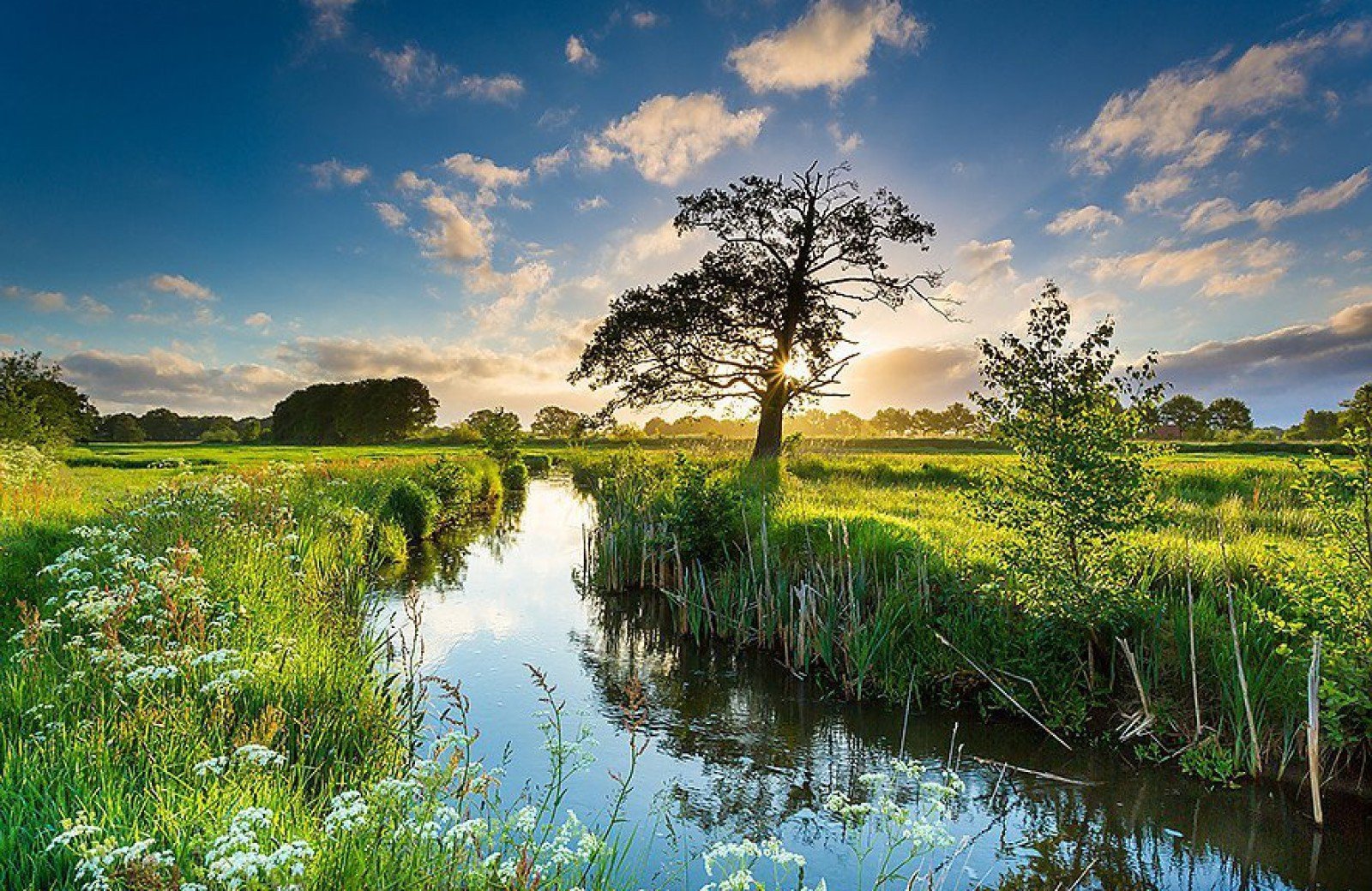 Perfekte Umgebung für einen Wanderurlaub Niederlande