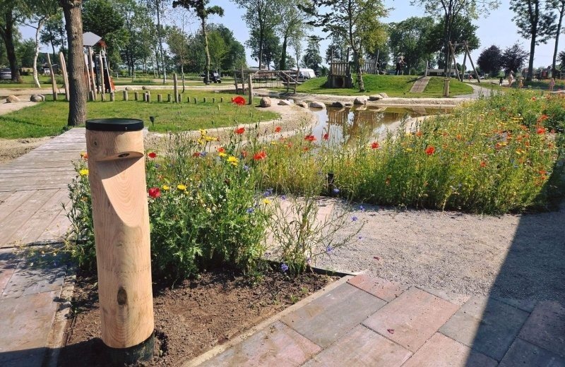 Neues von Wedderbergen!